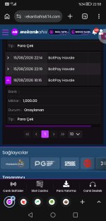 Screenshot_20260818_225845_com.android.chrome.jpg